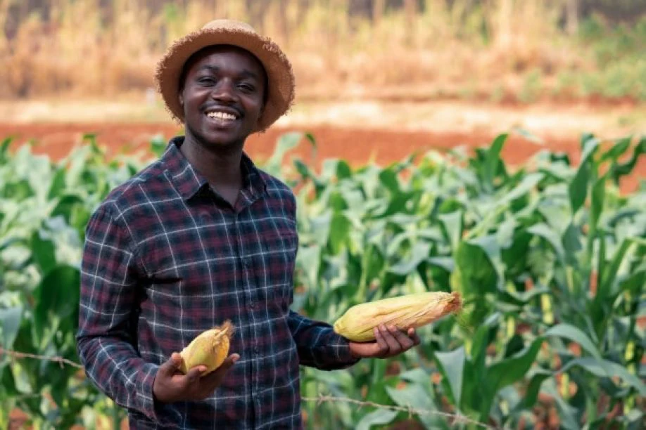 Agricultura, Pecuária e Pescas